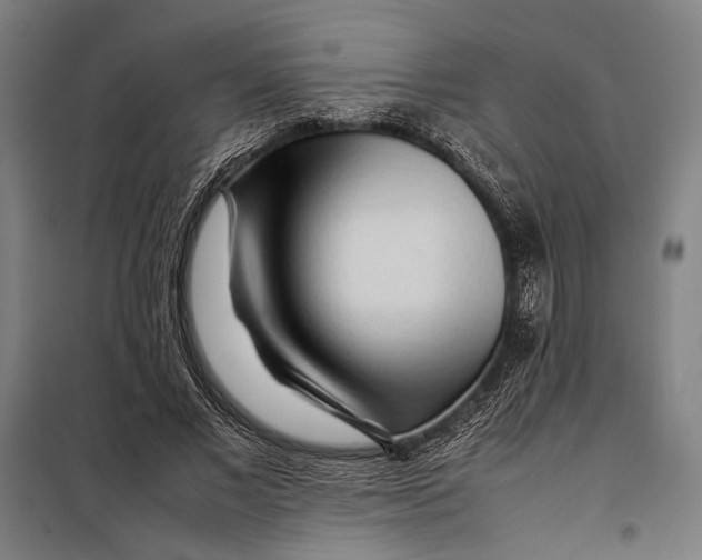 X0000097900685200804041438