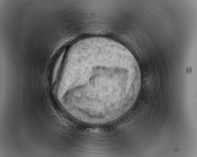 X0000097900688200804041438