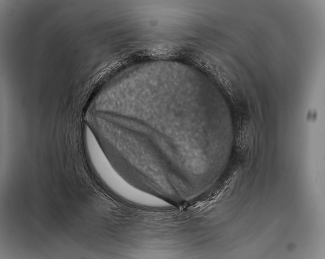 X0000097900689200804041437