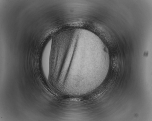 X0000097900692200804041437