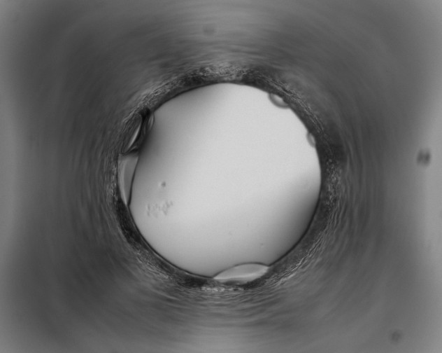 X0000097900693200804041437