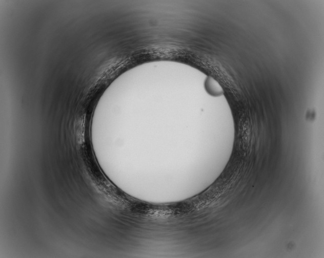 X0000097900694200804041437