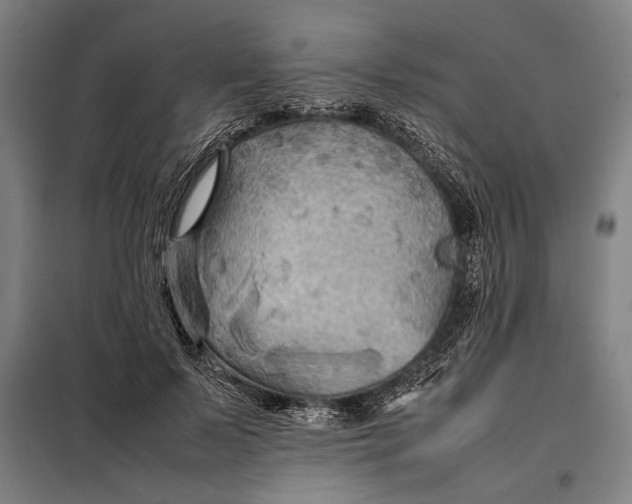 X0000097900695200804041437