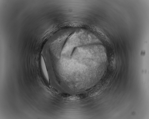 X0000097900696200804041437