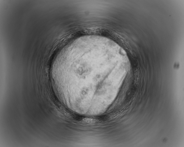 X0000097900699200804041437