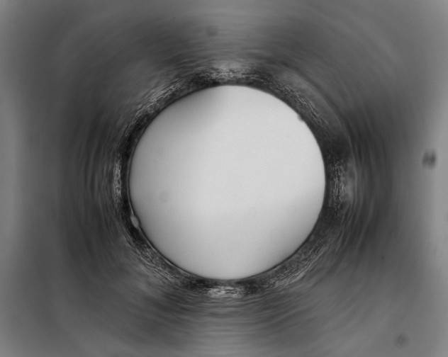 X0000097900700200804041437