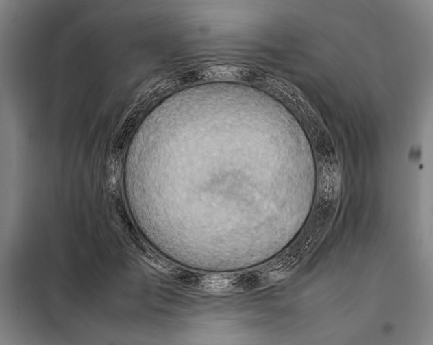 X0000097900701200804041437