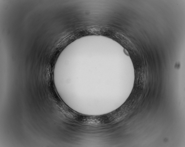 X0000097900702200804041437