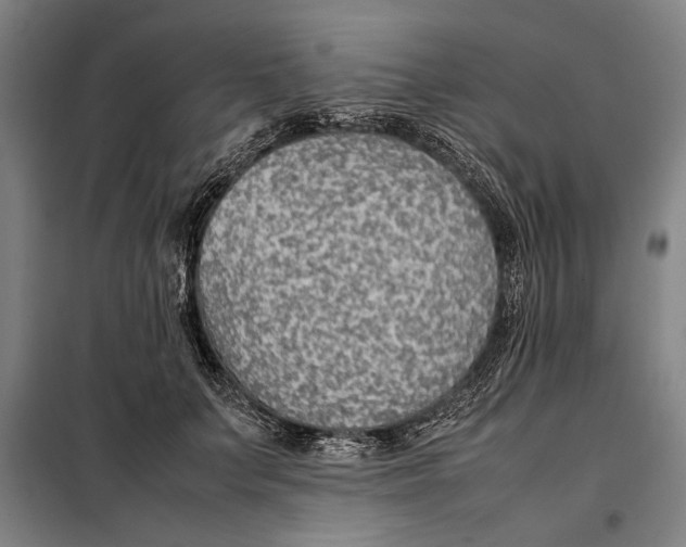 X0000097900703200804041437