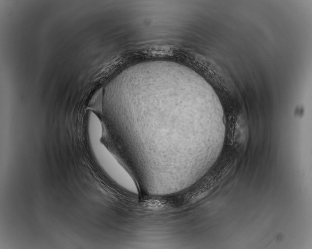 X0000097900704200804041437