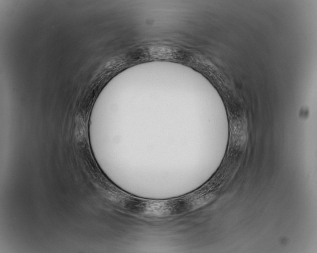 X0000097900705200804041437