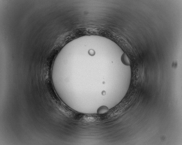 X0000097900706200804041437