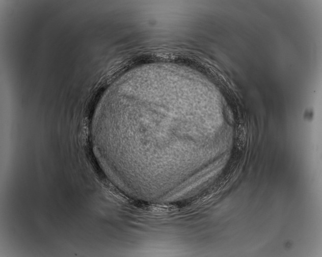 X0000097900707200804041437