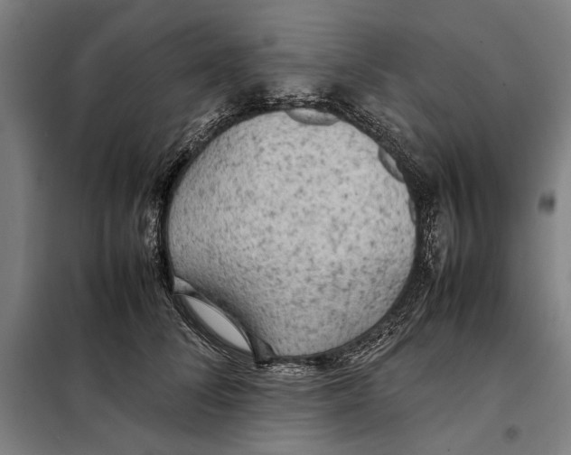 X0000097900708200804041437