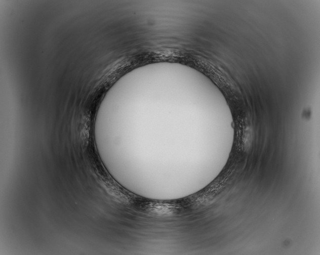 X0000097900710200804041437