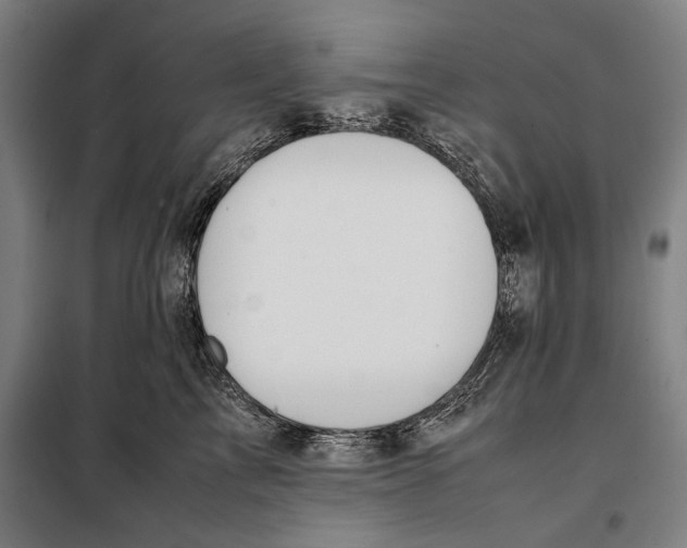 X0000097900713200804041437