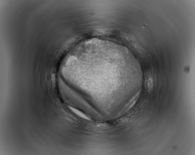 X0000097900716200804041437