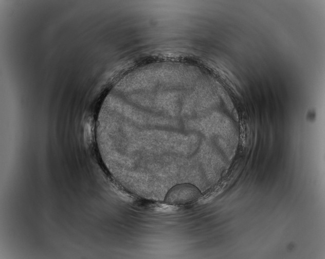 X0000097900718200804041437