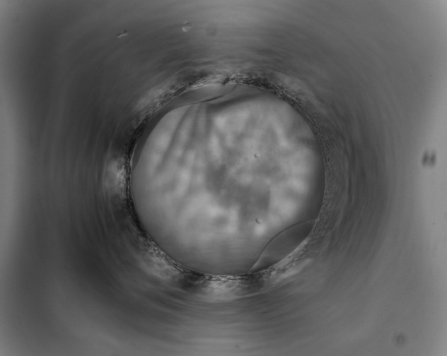 X0000097900720200804041437