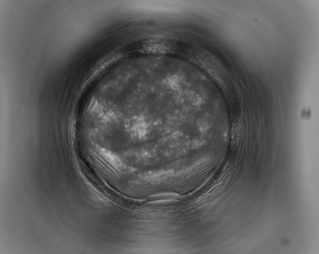 X0000097900722200804041436