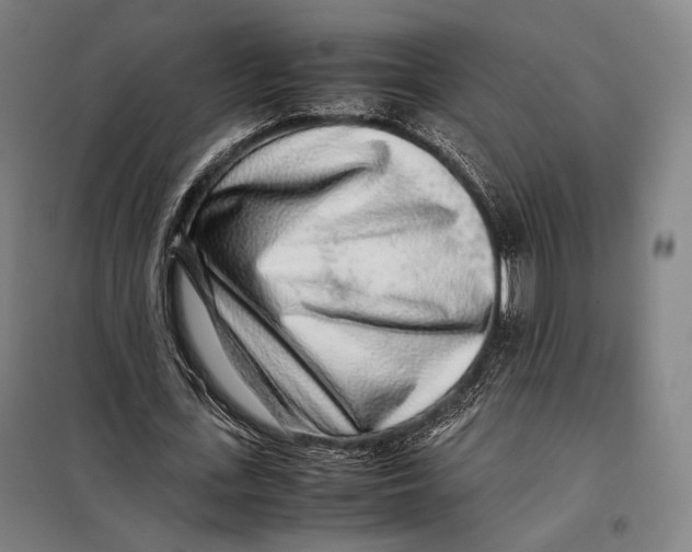 X0000097900723200804041436