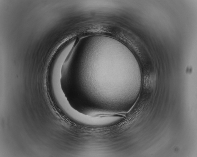 X0000097900724200804041436