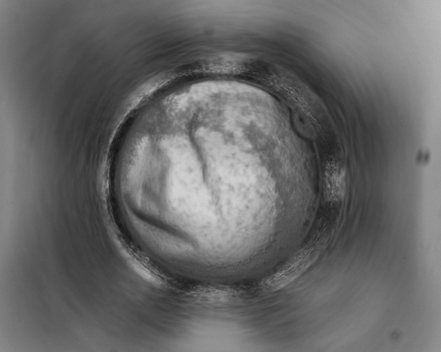 X0000097900726200804041436