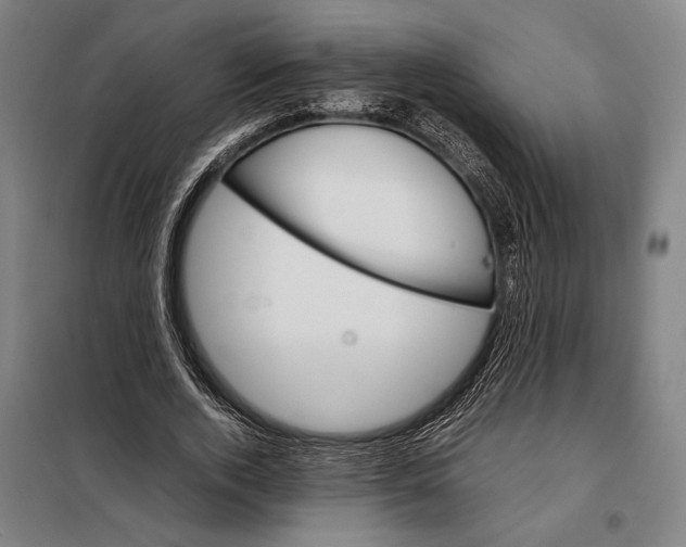 X0000097900728200804041436