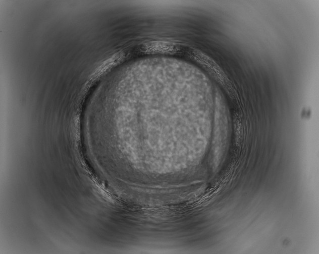 X0000097900729200804041436