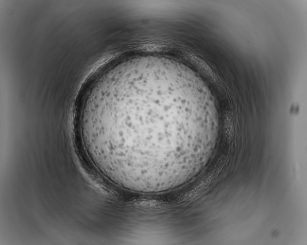 X0000097900730200804041436