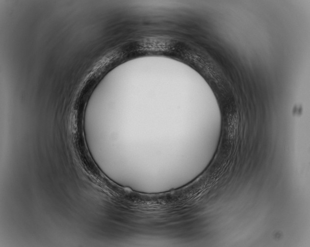 X0000097900731200804041436