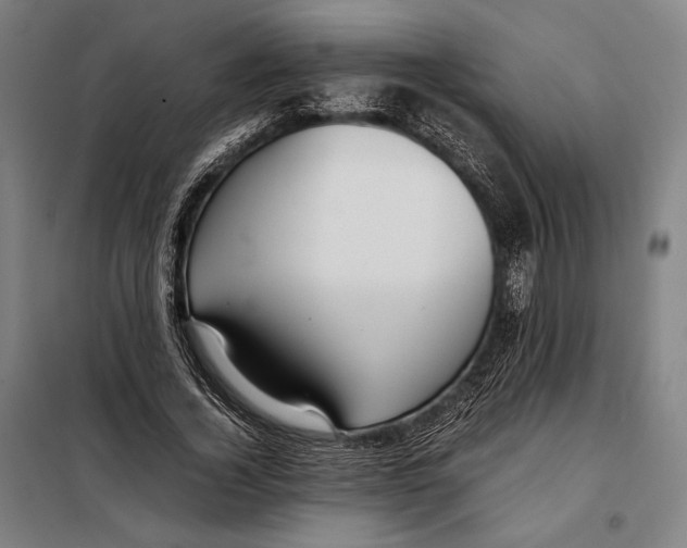 X0000097900732200804041436