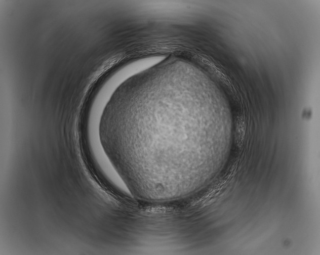 X0000097900734200804041436