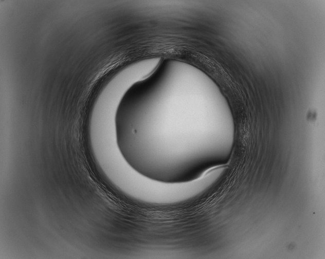 X0000097900735200804041436