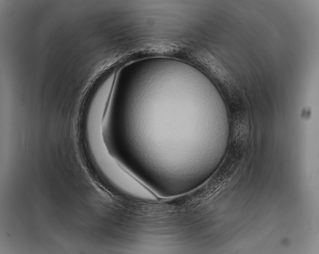 X0000097900736200804041436