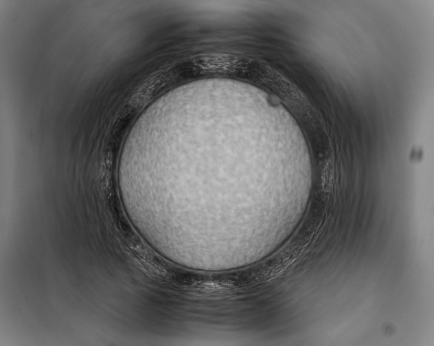 X0000097900737200804041436