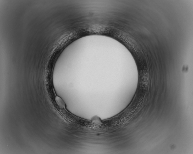 X0000097900738200804041436