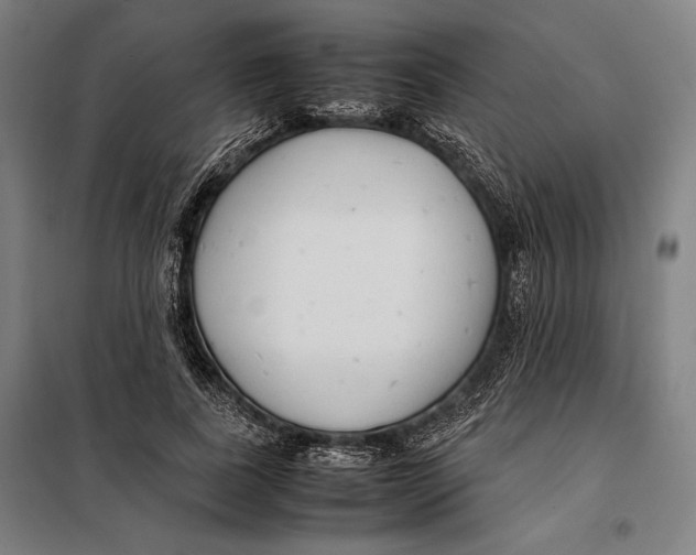 X0000097900739200804041436