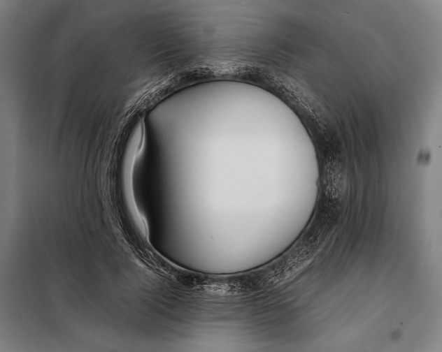 X0000097900740200804041437