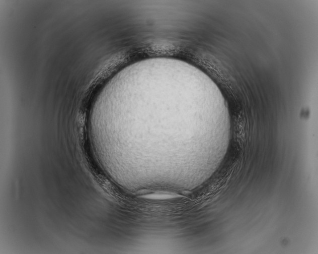 X0000097900742200804041437