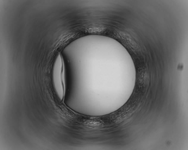 X0000097900743200804041437