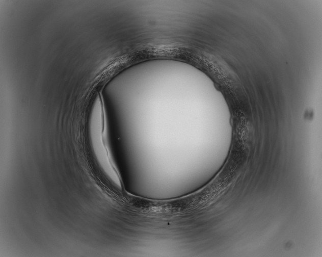 X0000097900744200804041437