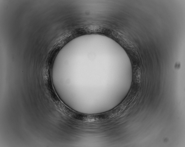 X0000097900746200804041437