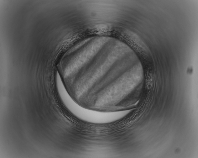 X0000097900748200804041437