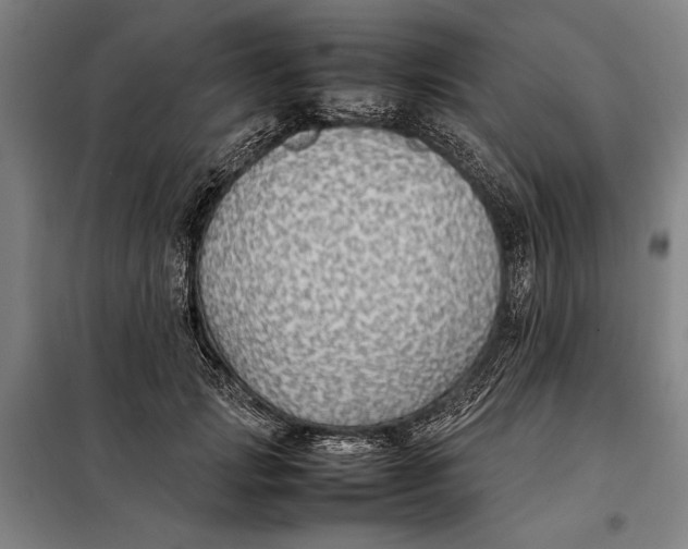 X0000097900749200804041437