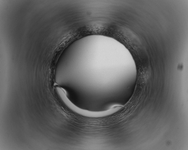 X0000097900750200804041437