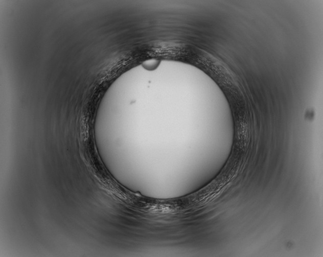 X0000097900751200804041437