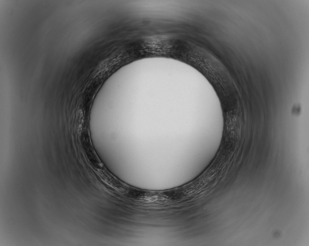 X0000097900752200804041437