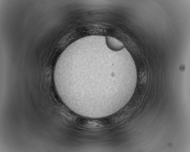 X0000097900753200804041437