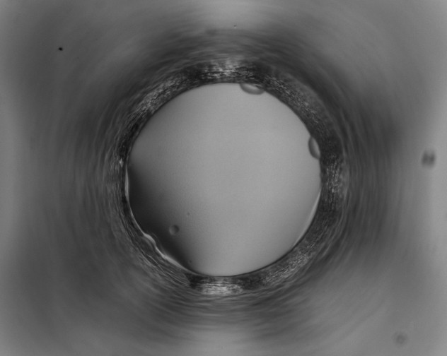 X0000097900754200804041437